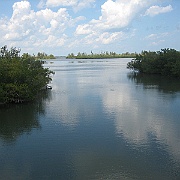 Picture 043